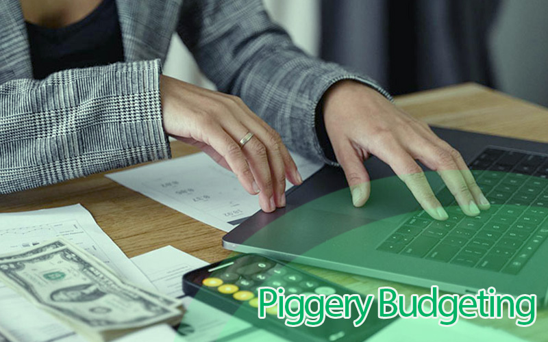 6 Steps for Effective Piggery Budgeting and Forecasting