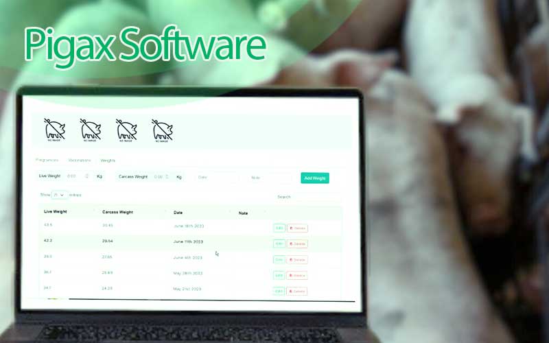 Best Software for Tracking Pigs Growth Efficiently