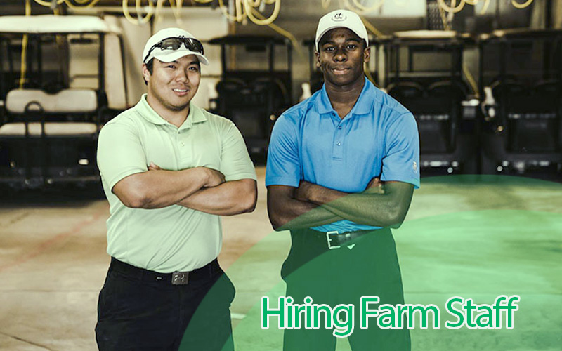 Best Tips for Hiring a Pig Farm Worker