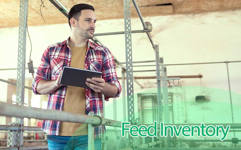 Feed inventory techniques for efficient pig farming