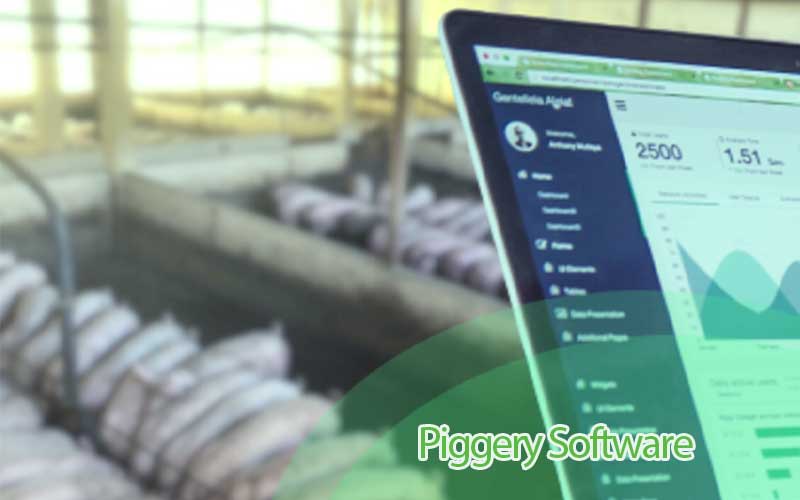 How to choose the right pig magament software