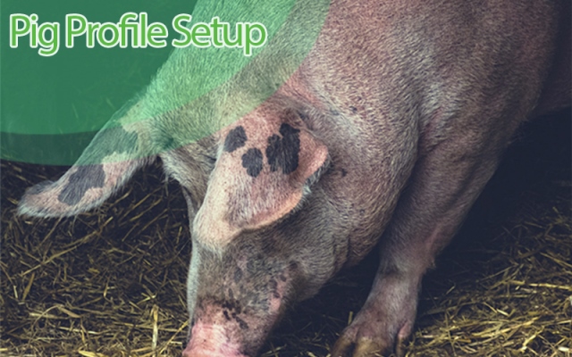 How to Create and Maintain a Pig Profile