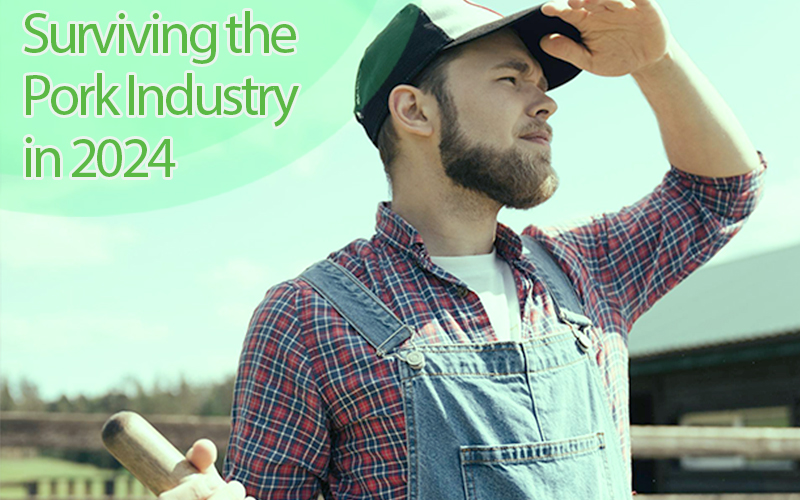 How to Thrive in the Pork Industry in 2024: Navigating Challenges and Opportunities
