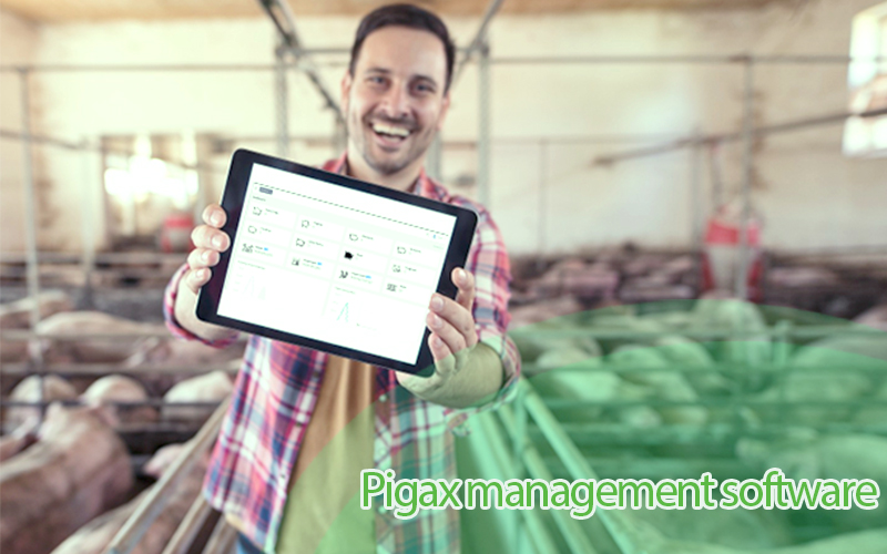 Mastering Piggery Managenment with Pigax