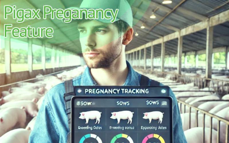 Monitor Pig Pregnancy Like a Pro with Pigax