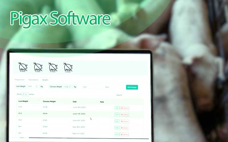 Secrete to The Perfect Feed Plan Schedule