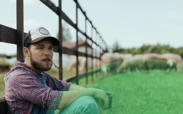 Why beginer pig farmers fail in piggery business