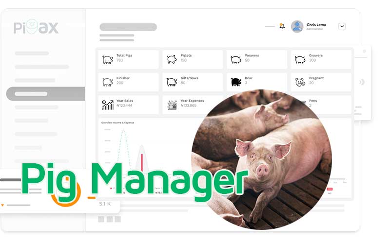 Why Successful Pig Farmers keep proper management records